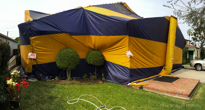 Termite tenting