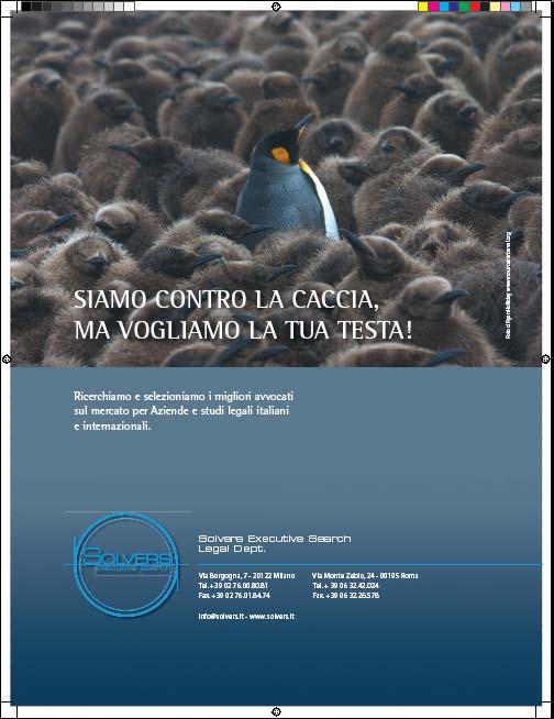 Penguin Advertisement