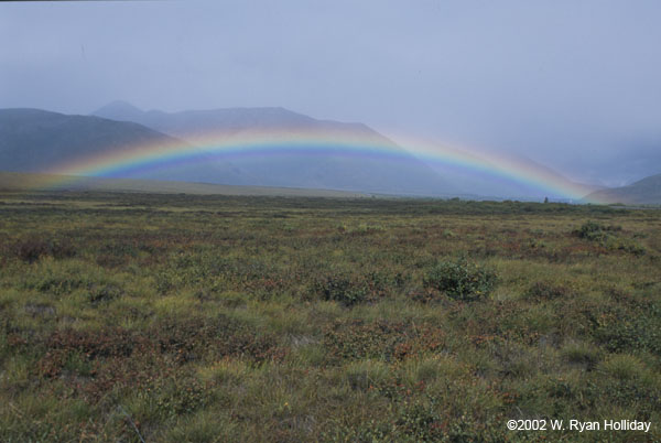 Rainbow along Dempster Highway