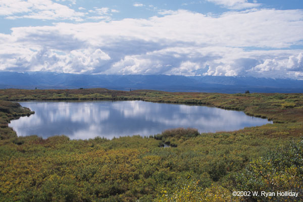 Kettle Pond near Wonder Lake