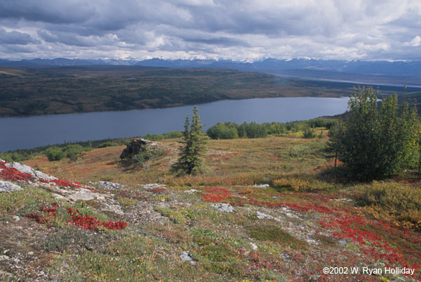 Wonder Lake with Fall Color