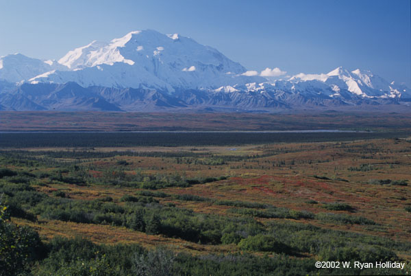 Denali (Mt. McKinley)