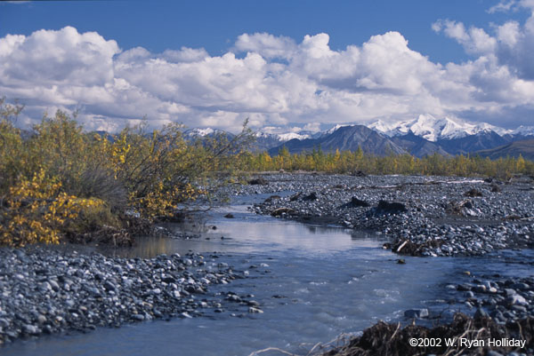 McKinley River and Alaska Range