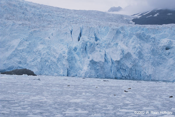 Aialak Glacier