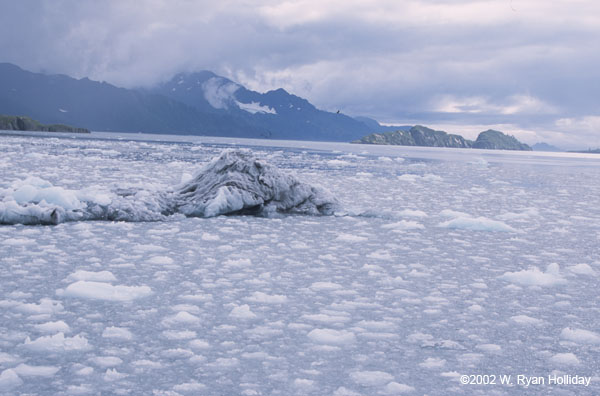 Ice near Aialak Glacier