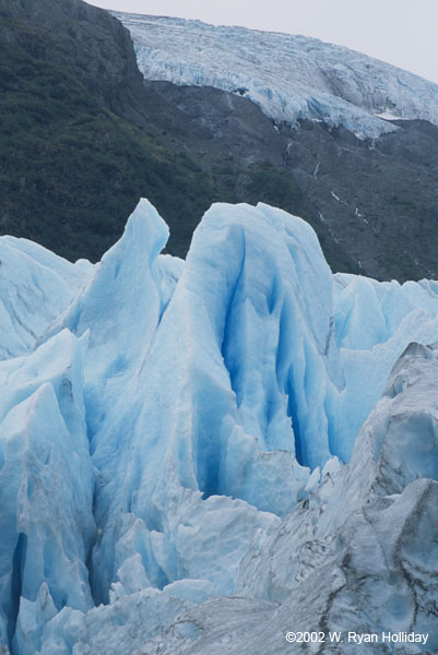 Exit Glacier Detail