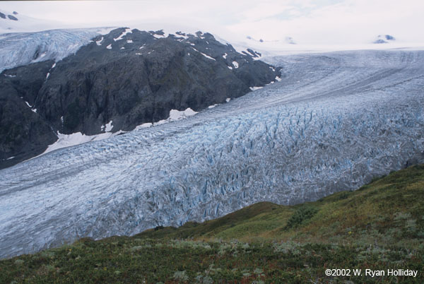 Exit Glacier