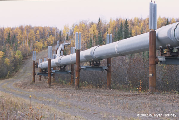 Alaska Oil Pipeline Near Dalton Highway
