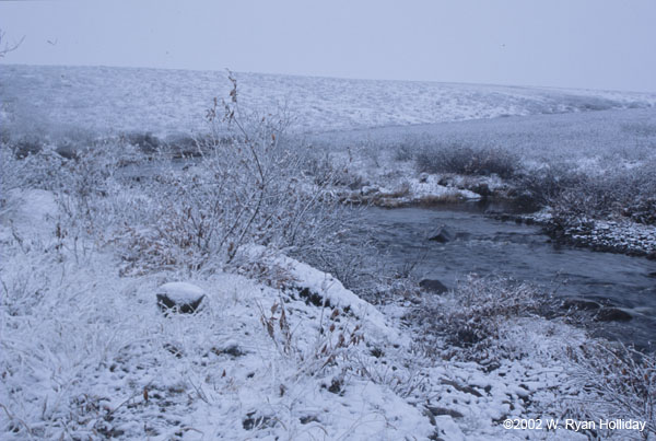 Snow and River Near Dalton Highway