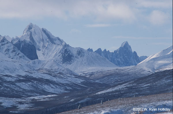 Tombstone Mountain in the Winter