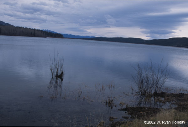 Marsh Lake