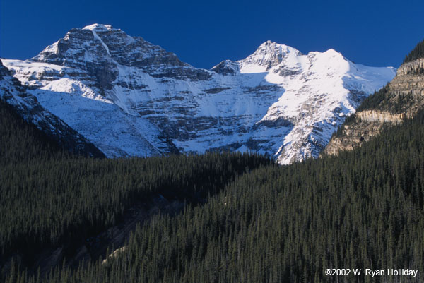 Canadian Rockies in Jasper National Park