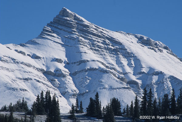 Canadian Rockies in Jasper National Park