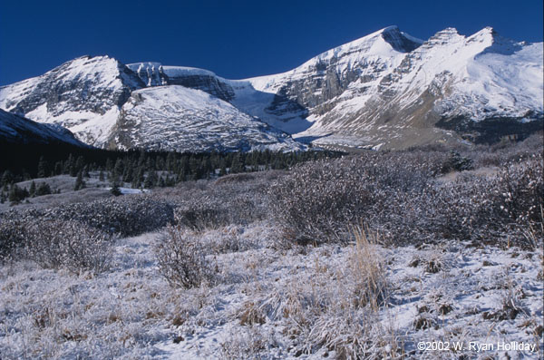 Canadian Rockies in Jasper National Park