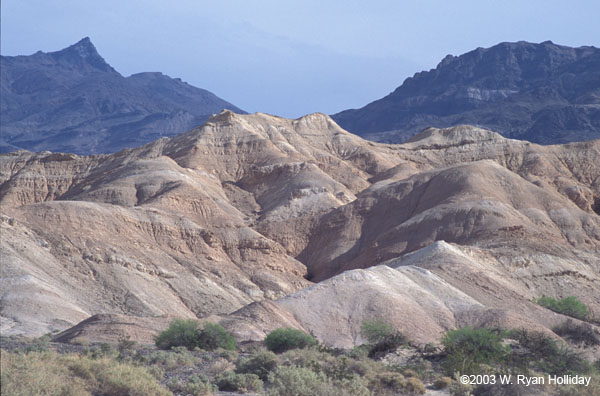 Death Valley Landscape