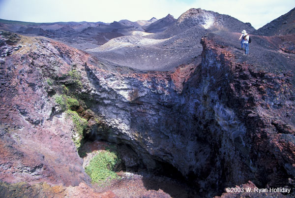 Fumarole, Sierra Negra Volcano