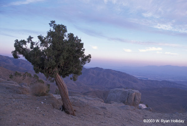 Keys View at Sunset