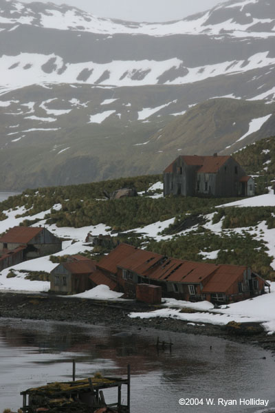 Abandoned Whaling Station in Prince Olav Harbour