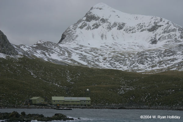 Bird Island Research Station