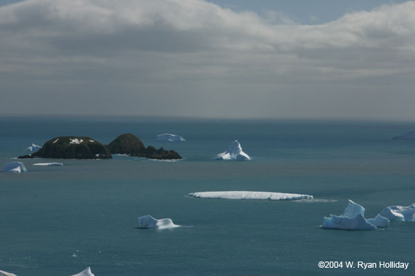 Icebergs