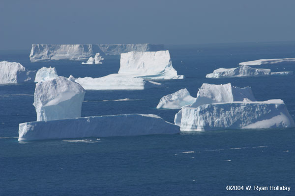 Icebergs