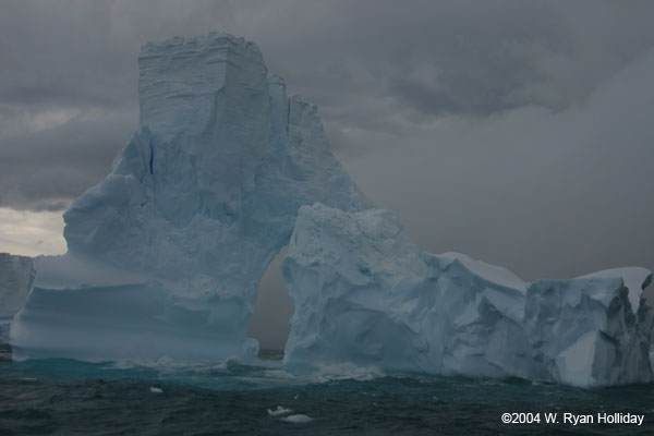 Iceberg