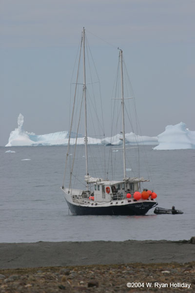 Golden Fleece in St. Andrews Bay