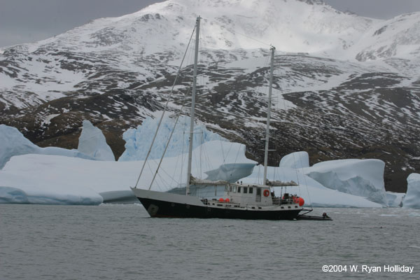 Golden Fleece in Fortuna Bay