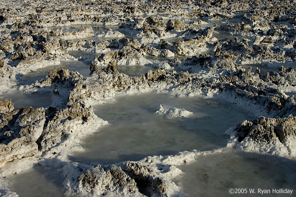 Salt Flats