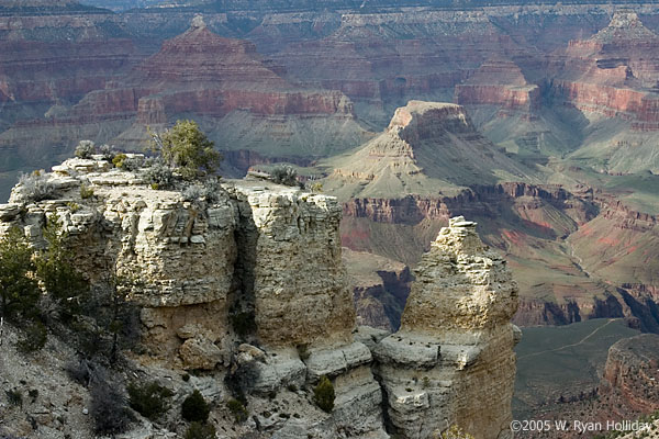 Grand Canyon Landscape