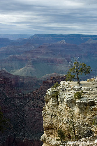 Grand Canyon from South Rim