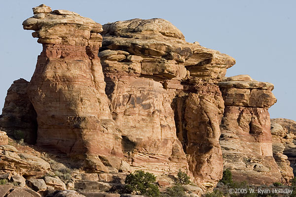 Needles Landscape