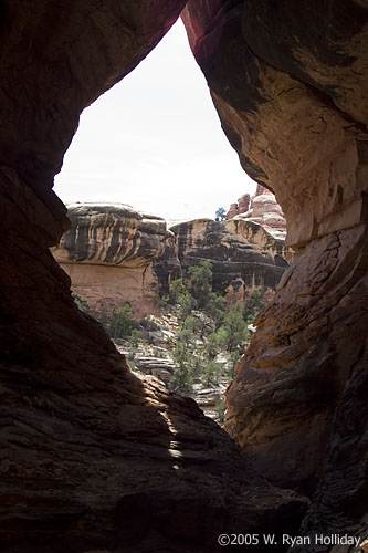 View from Fissure