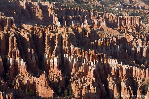 Hoodoos