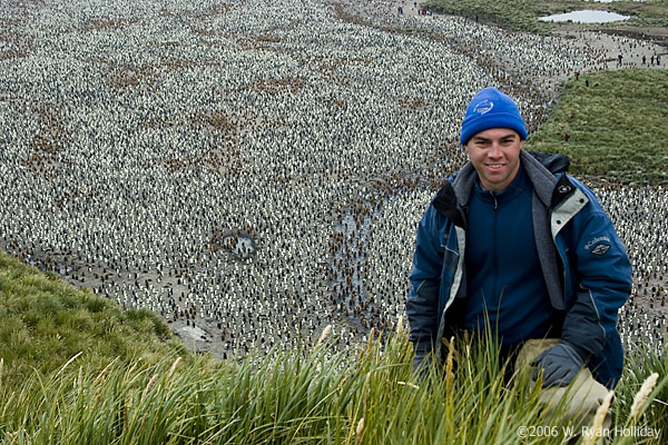 Ryan above a king penguin colony, Salisbury Plain, South Georgia Island