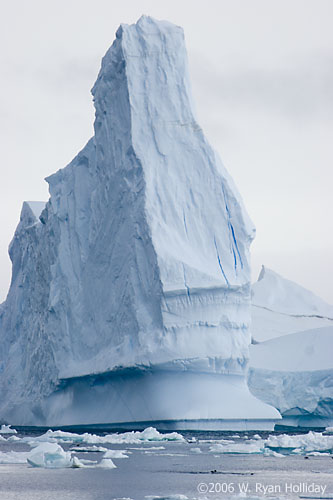 Iceberg