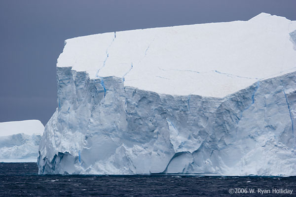 Iceberg