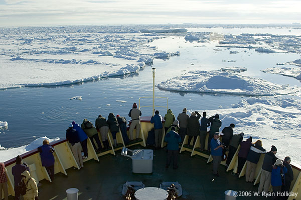 M/V Polar Star in Sea Ice