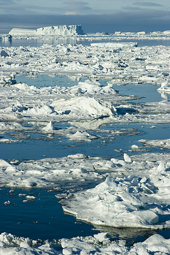 Sea Ice