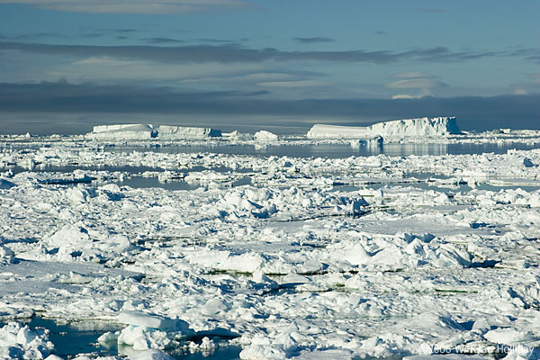 Sea Ice