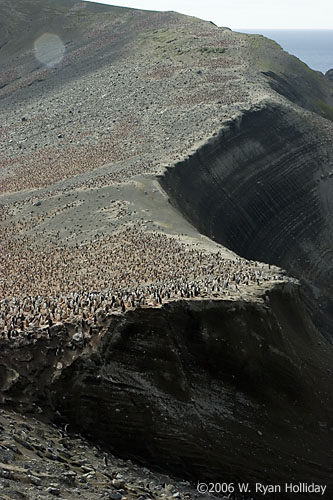 Baily Head Landscape