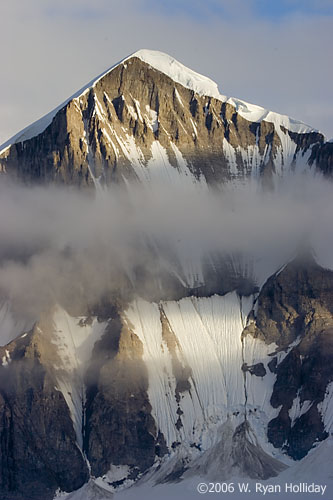 Cuverville Landscape