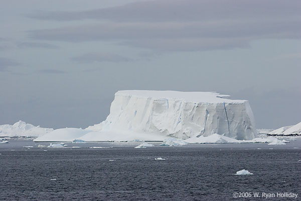 Iceberg