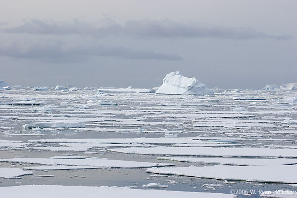 Sea Ice