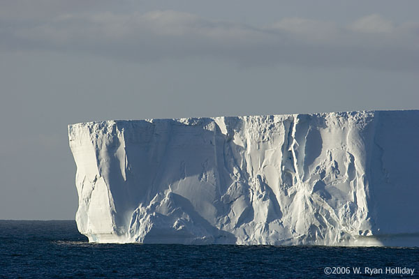 Iceberg