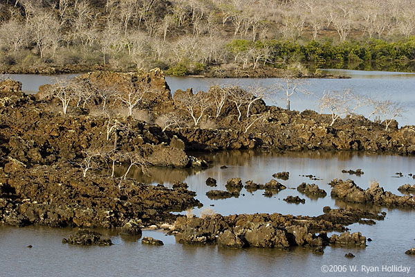 Floreana Lagoon