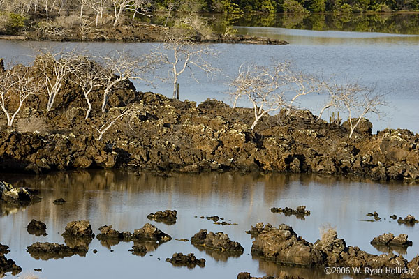 Floreana Lagoon