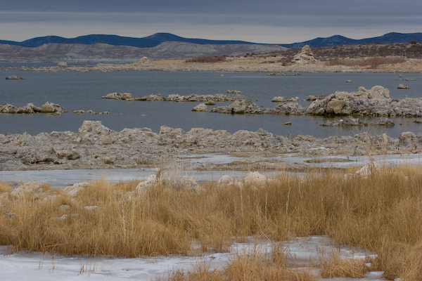 Mono Lake Landscape