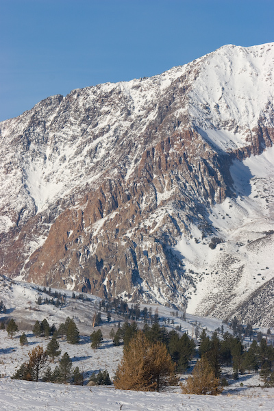 Eastern Sierra Landscape