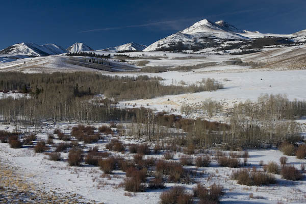 Sierra Nevada Winter Landscape